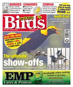 Cage & Aviary Birds - 22 October 2025