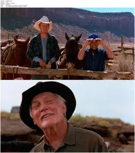 City Slickers II: The Legend of Curly's Gold (1994)