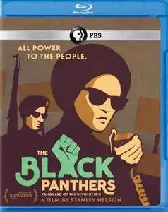 The Black Panthers: Vanguard of the Revolution (2015)
