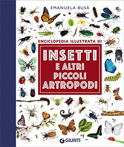 Insetti e altri piccoli artropodi - Manuela Busà