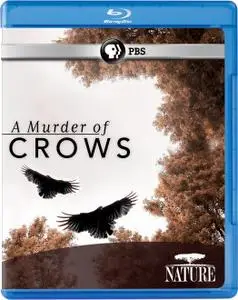 A Murder of Crows (2010)