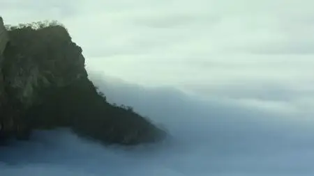 Natural World S38E10