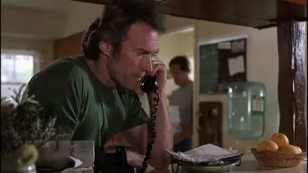 Any Which Way You Can (1980)