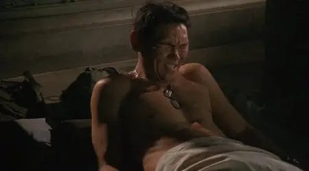 The Last Sentinel (2007)