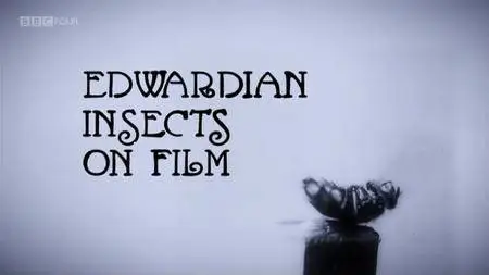 BBC - Edwardian Insects on Film (2013)