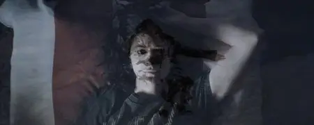 La foresta di ghiaccio (2014)