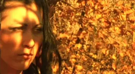 Silver Cell (2011)
