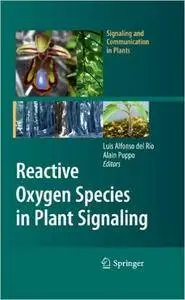 Reactive Oxygen Species in Plant Signaling