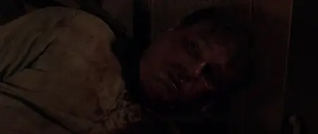 Bound to Vengeance (2015)