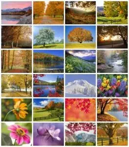 Webshots - Four Seasons - High Quality & Wide Screen