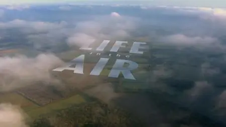 BBC - Life in the Air: Crowded Skies (2016)