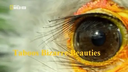 National Geographic - World's Weirdest: Animal Taboos Bizarre Beauties (2015)