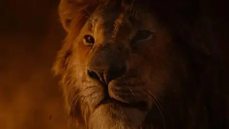 Il Re Leone / The Lion King (2019)