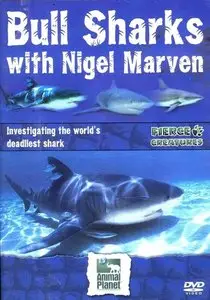 Discovery Channel - Bull Shark - World's Deadliest Shark (2004)