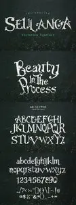 Seulanga Typeface Font