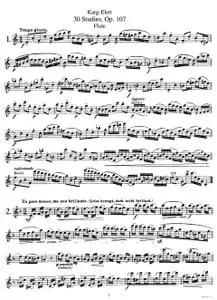 30 Studies for Flute Solo