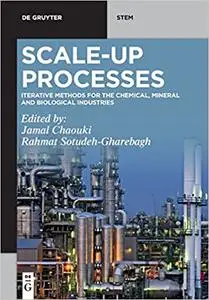 Scale-up Processes: Iterative Methods for the Chemical, Mineral and Biological Industries