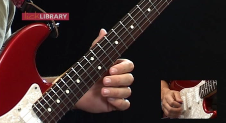 Lick Library - Learn to play Red Hot Chili Peppers - Volume 1,2