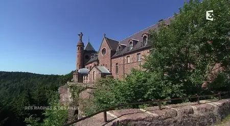 (Fr3) Des racines et des ailes - Passion patrimoine, des Vosges au lac Léman (2015)