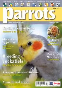 Parrots – February 2021