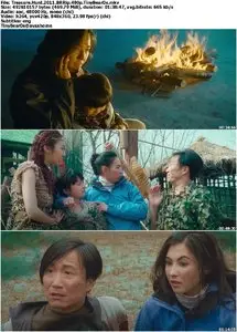 Treasure Hunt (2011)