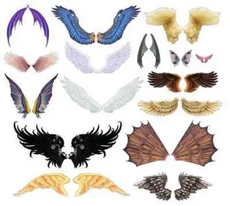Wings - PNG Clipart for Photoshop