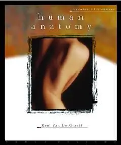 Van De Graaff Human Anatomy PDF