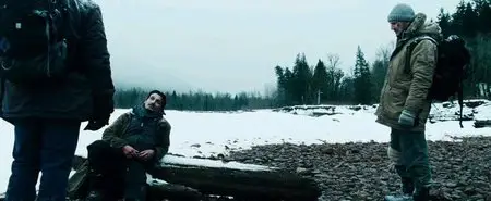 The Grey (2011)