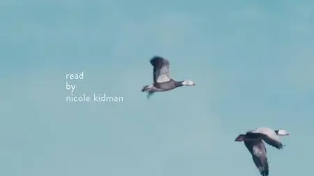 A World of Calm S01E03