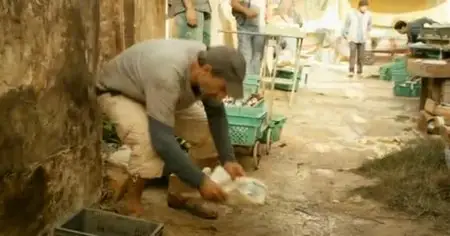 When Pigs Have Wings / Le cochon de Gaza (2011)