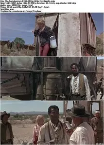 The Scalphunters (1968)