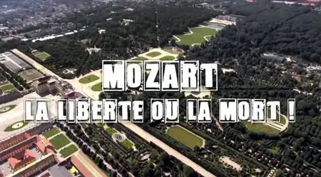 (Fr2) Secrets d'histoire - Mozart, la liberté ou la Mort ! (2013)