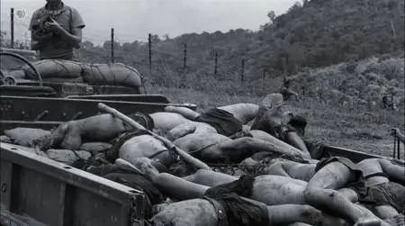 PBS - The Vietnam War Part 3: The River Styx (2017)