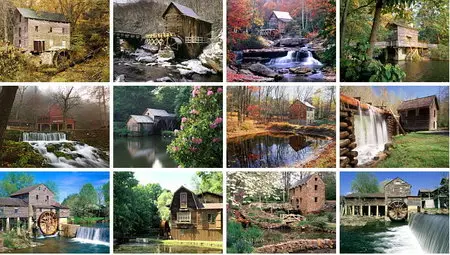 Some Nature Wallpapers