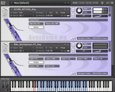 Westgate Studios Modular Series Bassoons KONTAKT (repost)