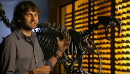 (Fr5) La collision des continents (2012)
