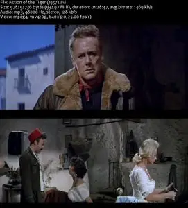 Action of the Tiger (1957) 