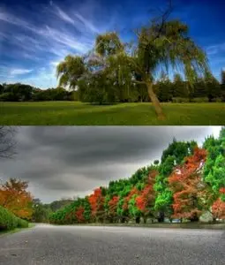 SuperPack Beautiful Nature HD Wallpapers #87