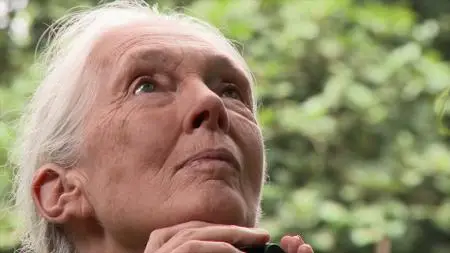 Jane Goodall: The Hope (2020)