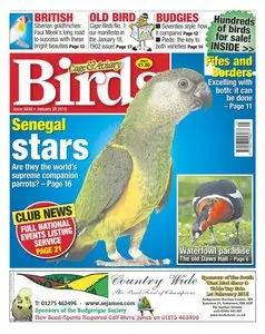 Cage & Aviary Birds - 28 January 2015