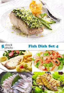Photos - Fish Dish Set 4