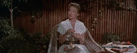 The Seven Year Itch (1955)
