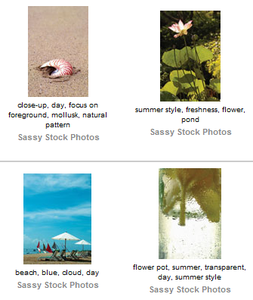 Sassy Stock Summer
