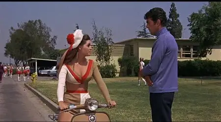 The Ambushers (1967)