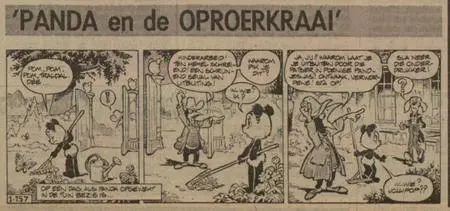 Kranten Strips 00 Panda V157 Panda En De Oproerkraai Nieuwsblad Van Het Noorden 1977