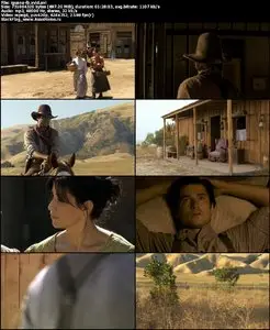 Love Begins (2011)