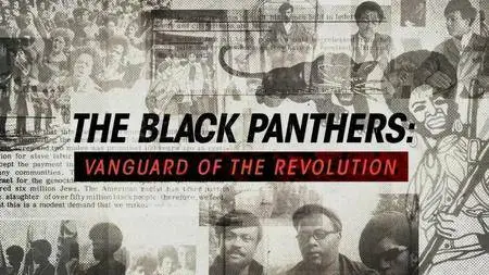 BBC - Storyville: The Black Panthers (2016)
