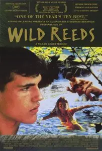 Les roseaux sauvages / Wild Reeds (1994)