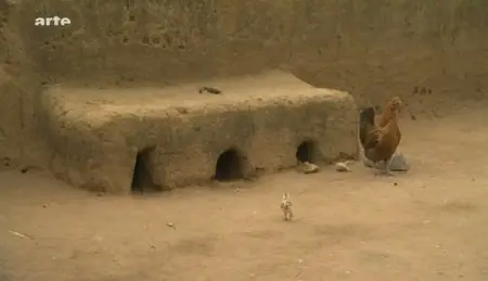 (Arte) L'architecture de terre, un héritage millénaire (2011)