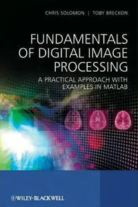 Fundamentals of Digital Image Processing: A Practical Approach with Examples in Matlab (Repost)
